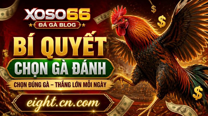 Bi-quyet-chon-ga-danh